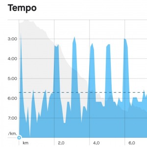 Intervaltraining: conditie opbouwen en sneller lopen