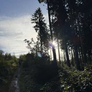Bear-trail-grizzly-100-voeren