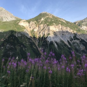 Petit Mont Blanc