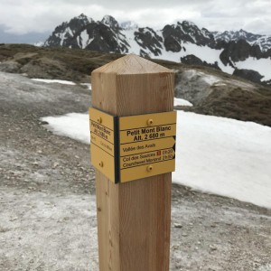 Summit Petit Mont Blanc