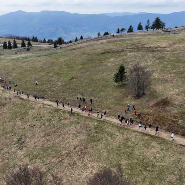 Trail du Grand Ballon 2023 - 23 km