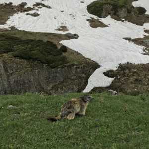 huttentocht-franse-alpen-7-dagen-Pralognan-la-vanoise