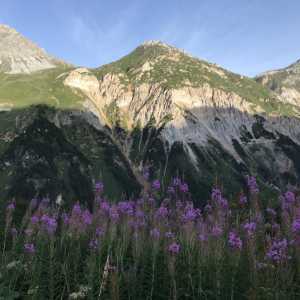 huttentocht-franse-alpen-7-dagen-Pralognan-la-vanoise