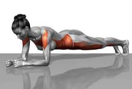 Core stability oefeningen: de plank